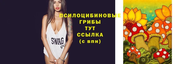 крисы Козловка
