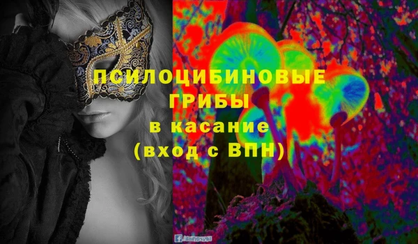 кокс Козельск