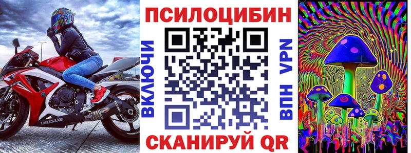 Псилоцибиновые грибы GOLDEN TEACHER  Купить закладки  Медынь 